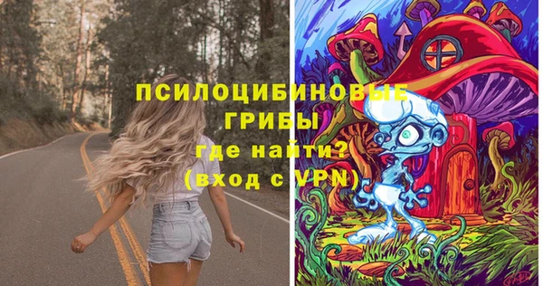 герыч Алексин