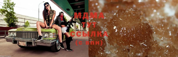 гидра Алексеевка