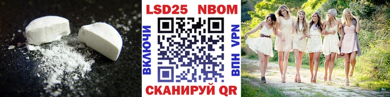 hydra зеркало  Новая Ладога  Лсд 25 экстази кислота 