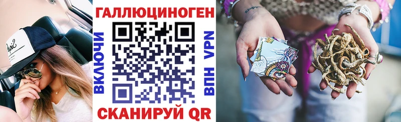 Галлюциногенные грибы Cubensis  omg как войти  Новая Ладога 